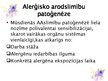 Prezentācija 'Alerģiskās arodslimības', 7.