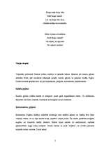 Konspekts 'Ziemassvētku tradīcijas', 2.