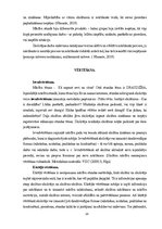 Referāts 'Mācību stundas diferenciācija', 10.