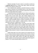 Referāts 'Mācību stundas diferenciācija', 17.