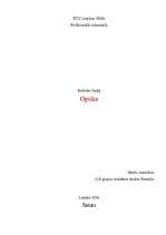 Referāts 'Optika', 1.