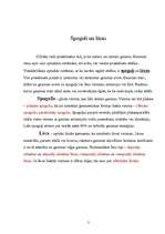 Referāts 'Optika', 3.