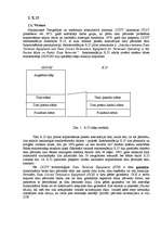 Konspekts 'Datoru tīkli', 5.