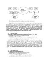 Konspekts 'Datoru tīkli', 6.