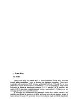 Konspekts 'Datoru tīkli', 17.