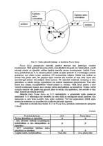 Konspekts 'Datoru tīkli', 19.