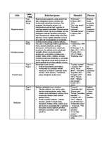 Konspekts 'Kultūras stili', 1.