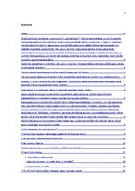 Referāts 'Uzņēmuma "Statoil" mārketinga stratēģija', 2.