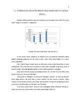 Referāts 'Uzņēmuma "Statoil" mārketinga stratēģija', 9.