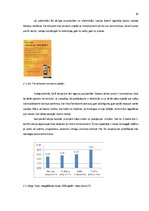 Referāts 'Uzņēmuma "Statoil" mārketinga stratēģija', 10.