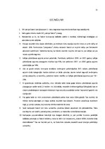 Referāts 'Uzņēmuma "Statoil" mārketinga stratēģija', 21.