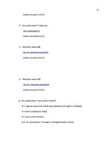 Referāts 'Uzņēmuma "Statoil" mārketinga stratēģija', 24.