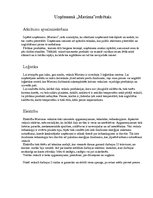 Referāts 'Uzņēmuma "Maxima" analīze', 5.