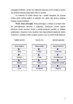 Referāts 'Reklāmas nozīme jauna produkta virzīšanā', 7.