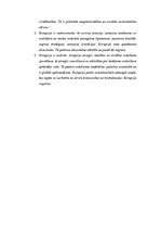 Referāts 'Korupcijas cēloņi un sekas', 8.