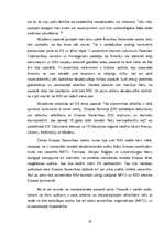 Referāts 'Spēku līdzsvars starptautiskajās attiecībās', 19.