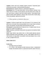 Konspekts 'Valūtas tirgus būtība. Pirktspējas paritātes princips. Valūtas kursu shēmas. Mak', 5.