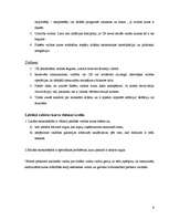 Konspekts 'Valūtas tirgus būtība. Pirktspējas paritātes princips. Valūtas kursu shēmas. Mak', 6.