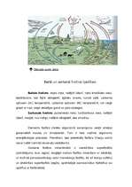 Eseja 'Pārskats par slāpekli un fosforu dabā', 3.