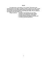 Referāts 'Auto ietekme uz vidi un drošība', 3.