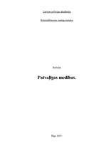 Referāts 'Patvaļīgas medības', 1.