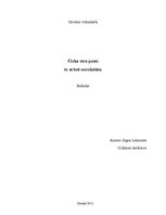 Referāts 'Cirka otra puse: to arēnā neredzēsim', 1.