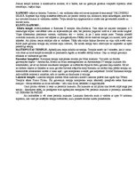 Konspekts 'Mākslas vēstures konspekts', 7.