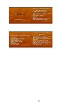 Referāts 'Gaļas liellopu audzēšana', 23.