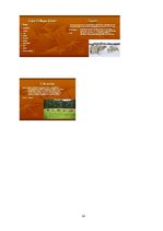 Referāts 'Gaļas liellopu audzēšana', 24.