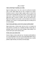 Konspekts 'R.Blaumaņa novele "Purva bridējs"', 1.