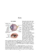 Konspekts 'Optometrija', 4.