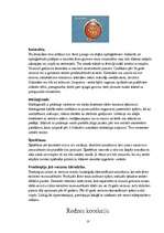 Konspekts 'Optometrija', 10.