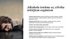 Prezentācija 'Alkohols un tā ietekme uz organismu', 5.