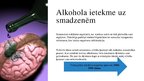 Prezentācija 'Alkohols un tā ietekme uz organismu', 7.