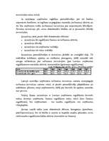 Referāts 'Investīcijas', 6.