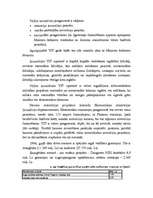 Referāts 'Investīcijas', 12.