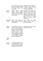 Konspekts 'Sociālās pedagoģijas termini', 2.