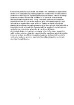 Referāts 'Sabiedriskā kārtība un sabiedrības drošība masu pasākumu laikā', 7.