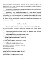 Referāts 'Bērnu attīstība pirmsskolas vecumā', 12.