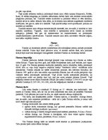 Konspekts 'Senās Grieķijas politiskā doma', 7.