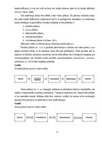 Diplomdarbs 'Mārketinga kanālu efektivitātes izpēte un tā pilnveides iespējas SIA "Latvijas L', 13.