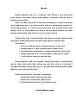 Referāts 'Simbolisms animē', 3.