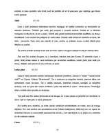 Referāts 'Simbolisms animē', 20.