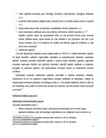 Referāts 'Nelietderīga brīva laika pavadīšana', 6.