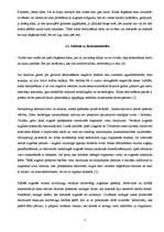 Referāts 'Kūlas dedzināšanas problēma', 7.