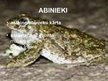 Prezentācija 'Abinieki un rāpuļi', 3.