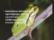 Prezentācija 'Abinieki un rāpuļi', 4.