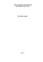 Referāts 'Intervijas analīze', 1.