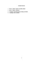 Referāts 'Intervijas analīze', 7.