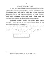 Referāts 'Grāmatvedība', 9.